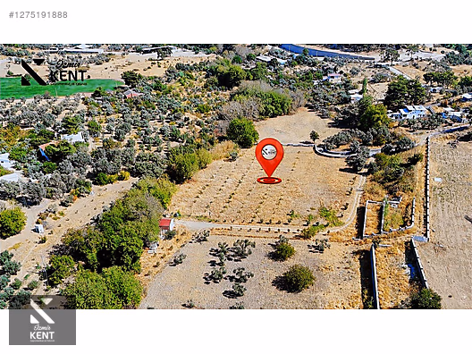 Kemalpaşa Nazarköy Satılık 9501m2 Bahçe - İZMİR KEMALPAŞA fotoğraf 13