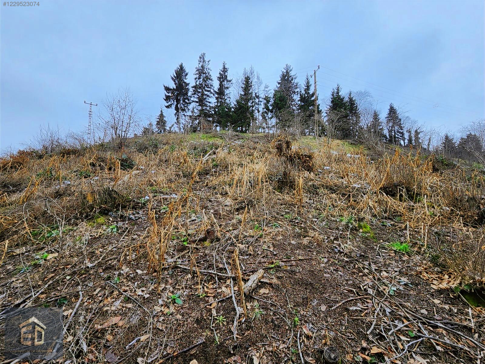E&D GYO'DAN TRABZON KAVALA'DA SATILIK 1050 M² MANZARALI ARSA - TRABZON ORTAHİSAR fotoğraf 4