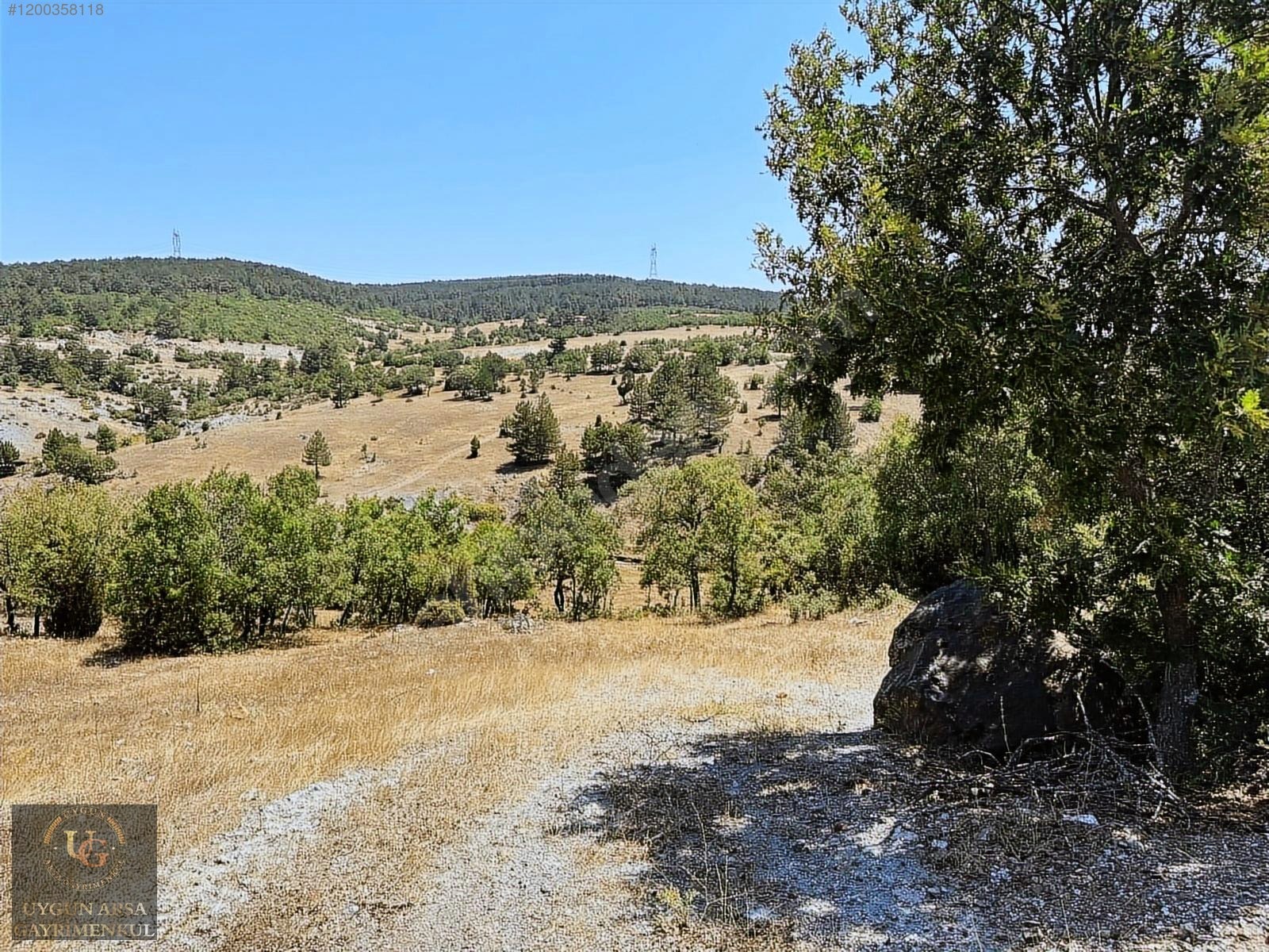 KÜTAHYA TAVŞANLI ANA YOLA CEPHE 6.466M2 UYGUN ARSA - KÜTAHYA TAVŞANLI fotoğraf 13
