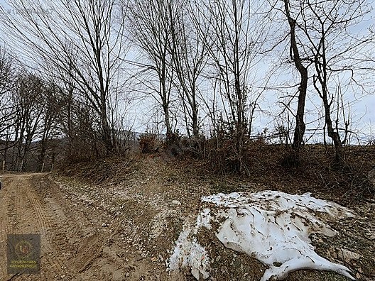 DÜZCE YIĞILCA HACILAR 'DA 2.744 M2 BAĞ EVİ OLAN FINDIK BAHÇESİ - DÜZCE YIĞILCA fotoğraf 20