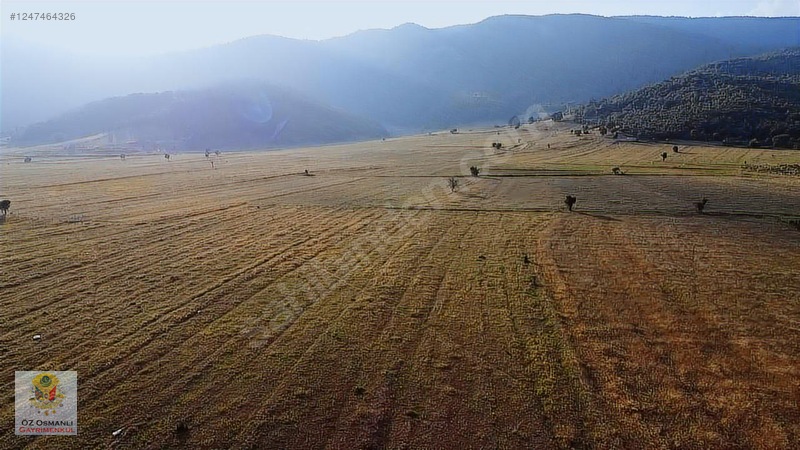 RESMİ YOLU OLAN 4,600 m2 ÇİFTLİK ARAZİSİ KAÇMAZ ! - BİLECİK OSMANELİ fotoğraf 3