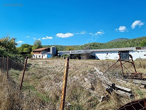 Cadde Emlaktan asfaltın kenarında satılık arsa ve tavuk çiftliği - KARABÜK ESKİPAZAR fotoğraf 17