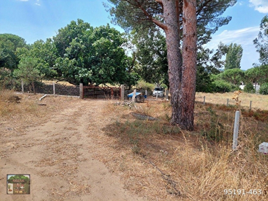 BERGAMA KOZAK YUKARIBEY MAH DE 4750 M2 BAĞ - İZMİR BERGAMA fotoğraf 5