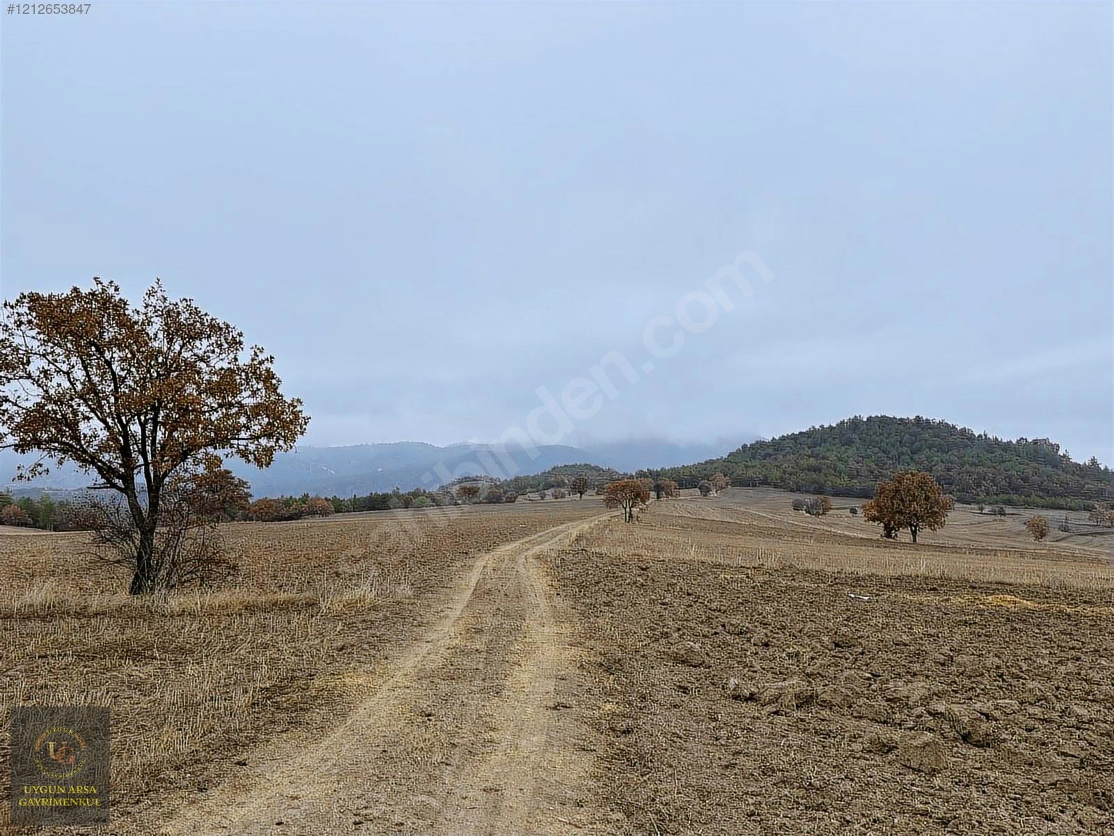 BOLU GÖYNÜK KARAARDIÇ'TA 4.921 M2 UYGUN ARSA - BOLU GÖYNÜK fotoğraf 17