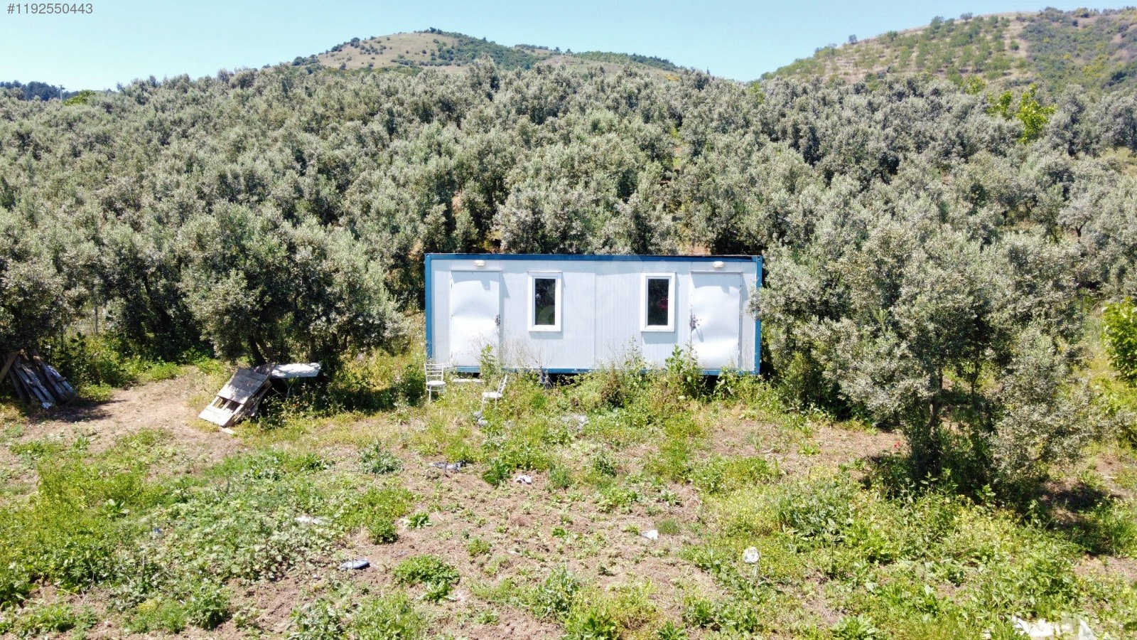 BURSA MUDANYA ÇEPNİ KÖYÜNDE 2.110 M² ZEYTİNLİK SATILIKTIR. - BURSA MUDANYA fotoğraf 5