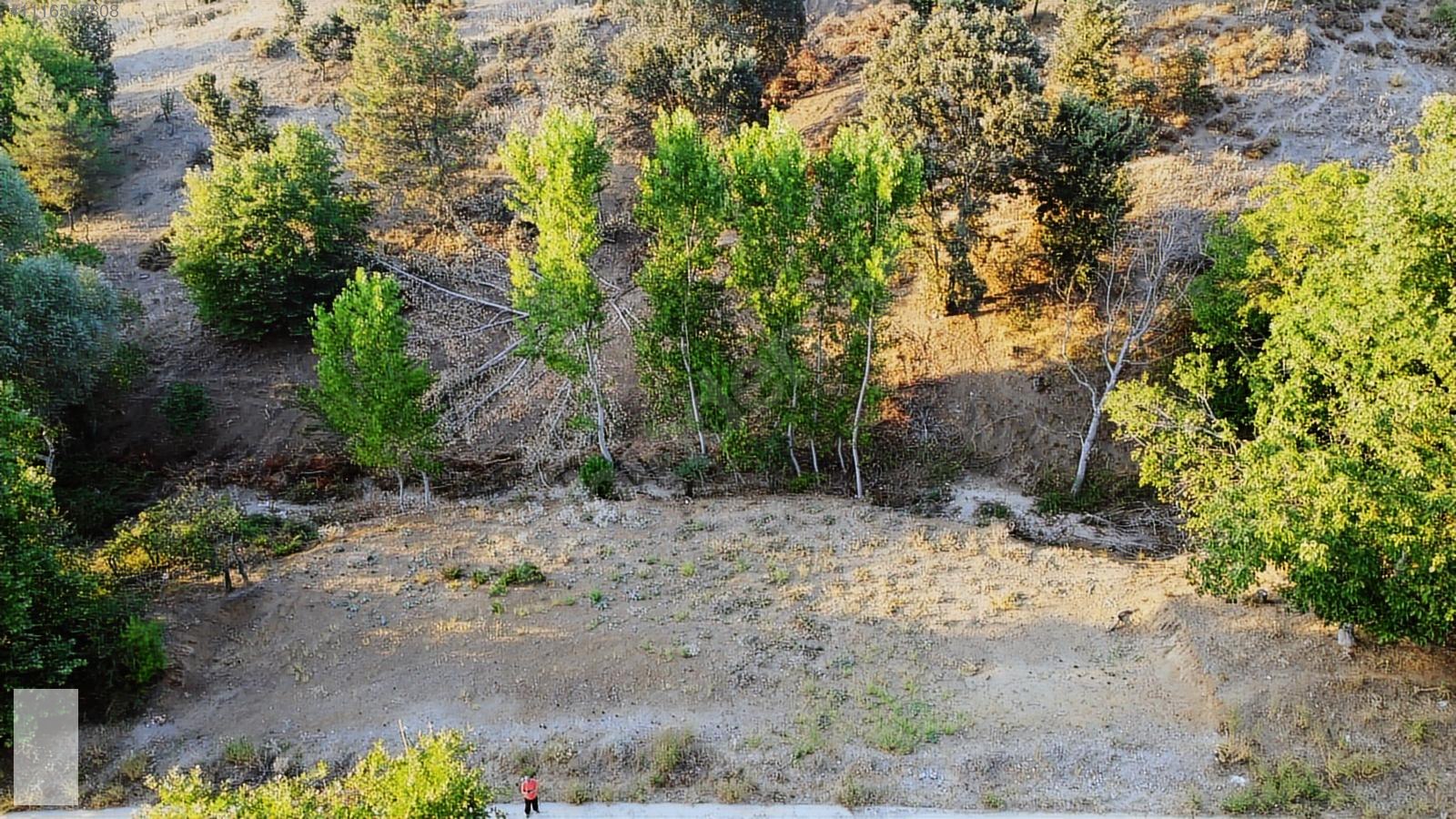 ÇANAKKALE BAYRAMİÇ SERHAT KÖYÜ 592 m2 % 80 İMARLI ARSA - ÇANAKKALE BAYRAMİÇ fotoğraf 2