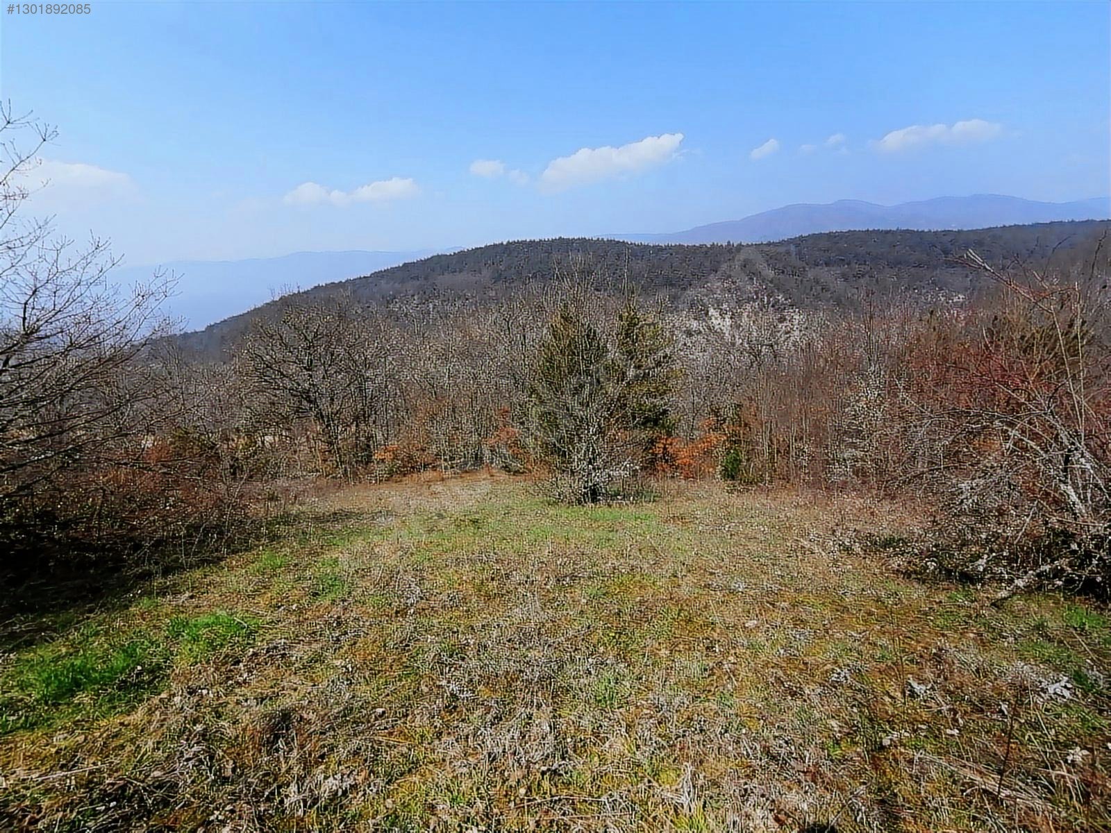 TAŞKESTİ EMLAKTAN TAŞKESTİ MERKEZDE 4381 M2 TARLA - BOLU MUDURNU fotoğraf 6