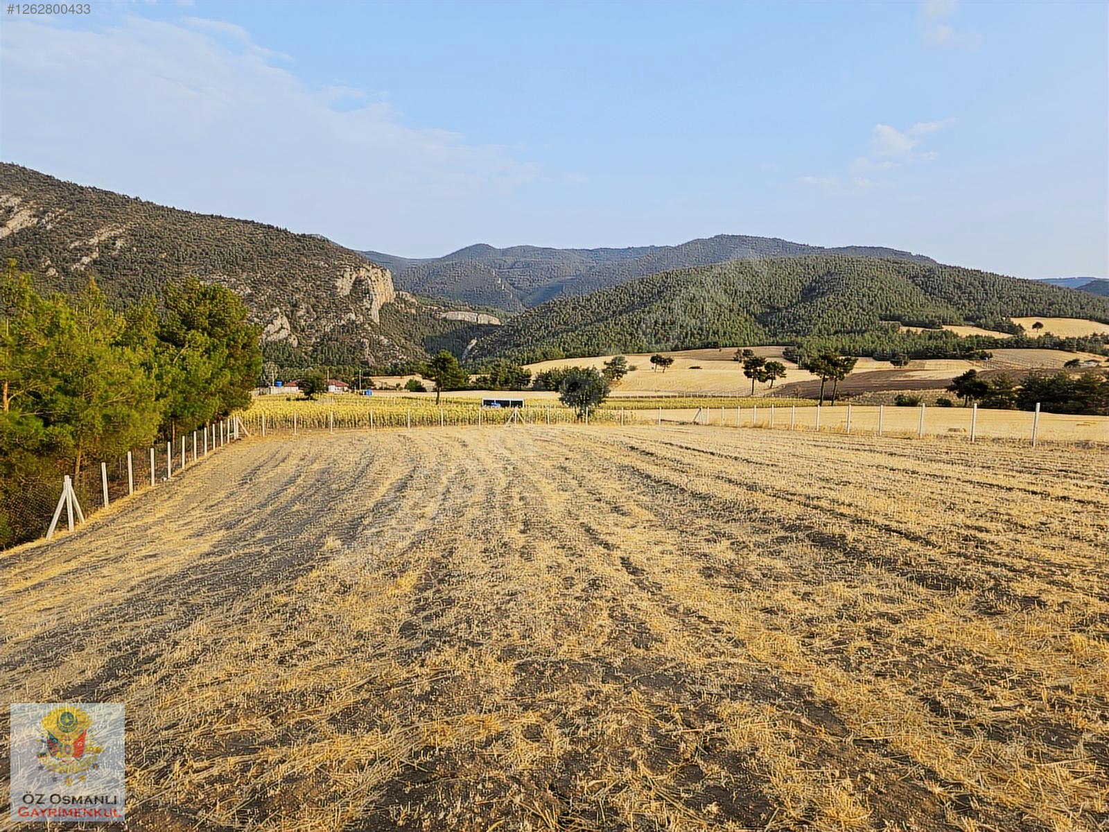 GEYVE'DE 2,300 M2 ARAZİ ÜZERİNDE EKSİKSİZ KONTEYNIR EV VE BAHÇE - SAKARYA GEYVE fotoğraf 12