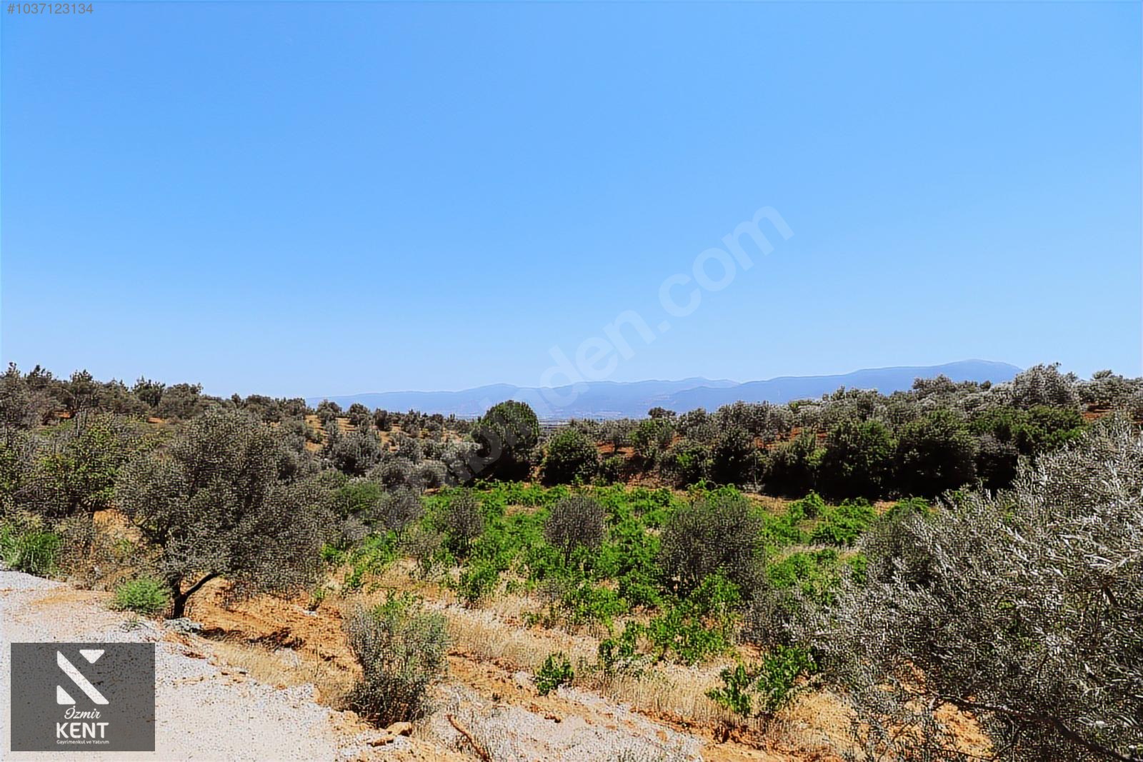 Kemalpaşa Çambel Satılık Bahçe 382 m2 - İZMİR KEMALPAŞA fotoğraf 16