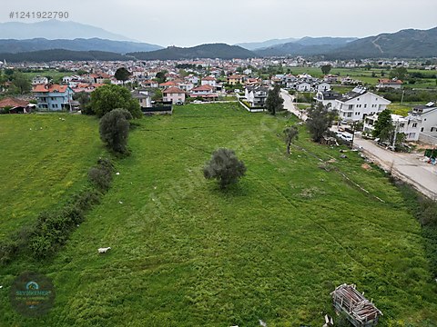 İlan Resmi