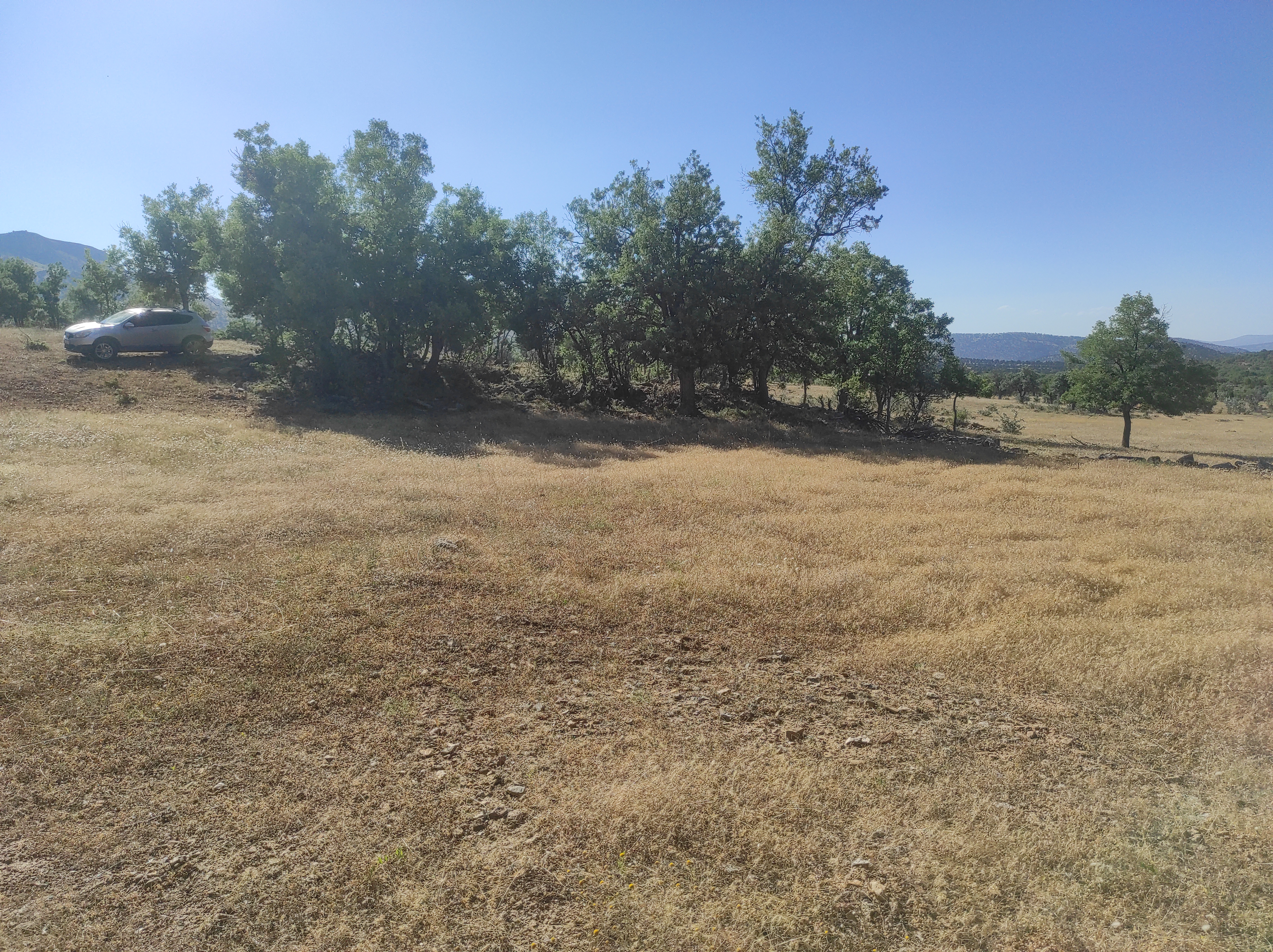 KONYA BOZKIR HACILAR  KÖYÜ’NDE 477 M² TARLA SATILIKTIR  - KONYA BOZKIR fotoğraf 9