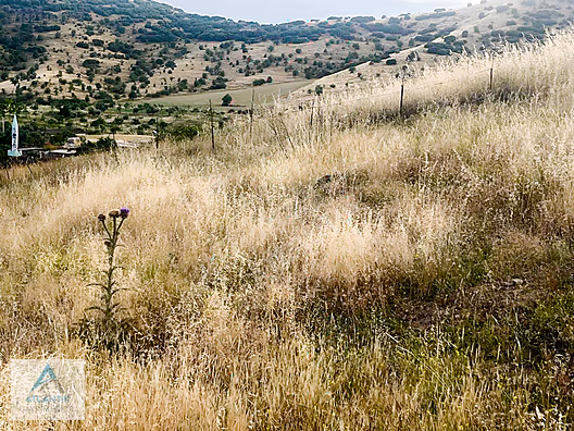Köy merkezinde satılık hobi bahçesi - İZMİR ÖDEMİŞ fotoğraf 7