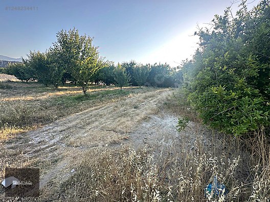 MUT - SİLİFKE KARAYOLUNA 250 M MESAFEDE SATILIK BAHÇE - MERSİN MUT fotoğraf 13