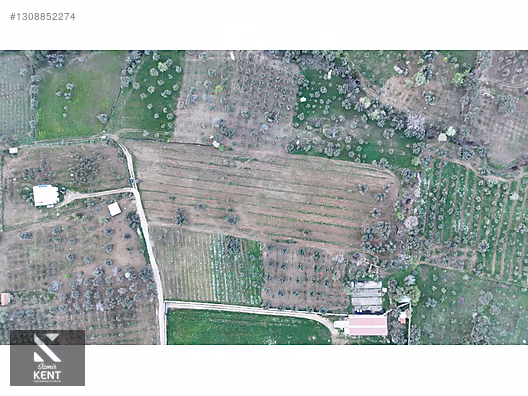 Kemalpaşa Gökyaka Satılık 11.511 m2 Bağ - İZMİR KEMALPAŞA fotoğraf 44