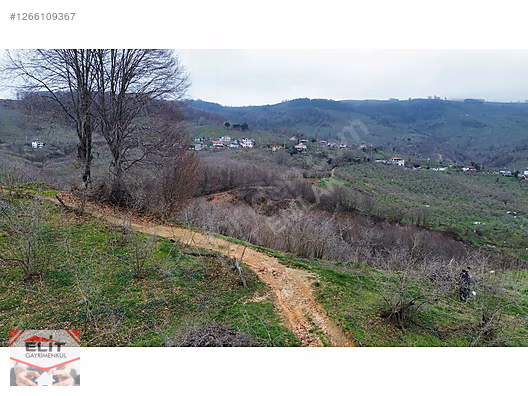 DÜZCE AKÇAKOCA DA EV YAPIMINA UYGUN SATILIK 7.768 M2 FINDIKLIK - DÜZCE AKÇAKOCA fotoğraf 40