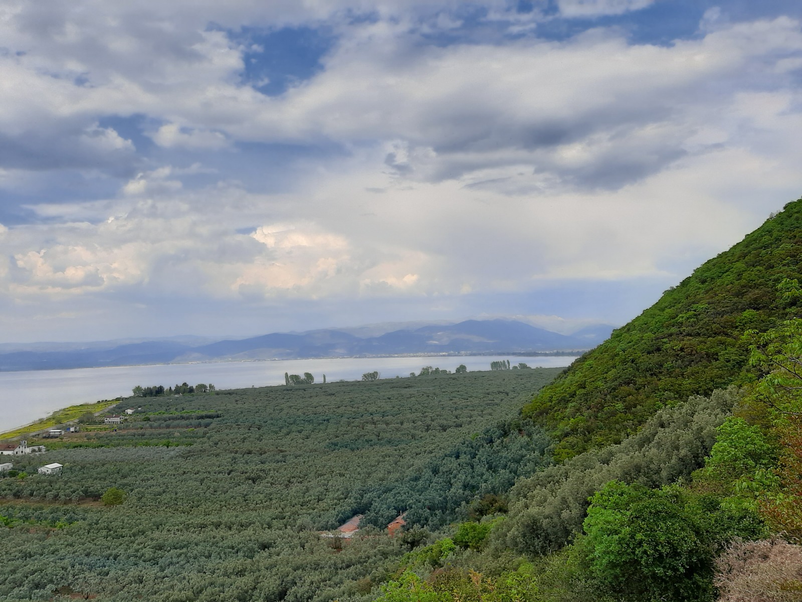 Tamamen göl manzaralı satılık zeytin bahçesi takasa açıktır - BURSA İZNİK fotoğraf 3