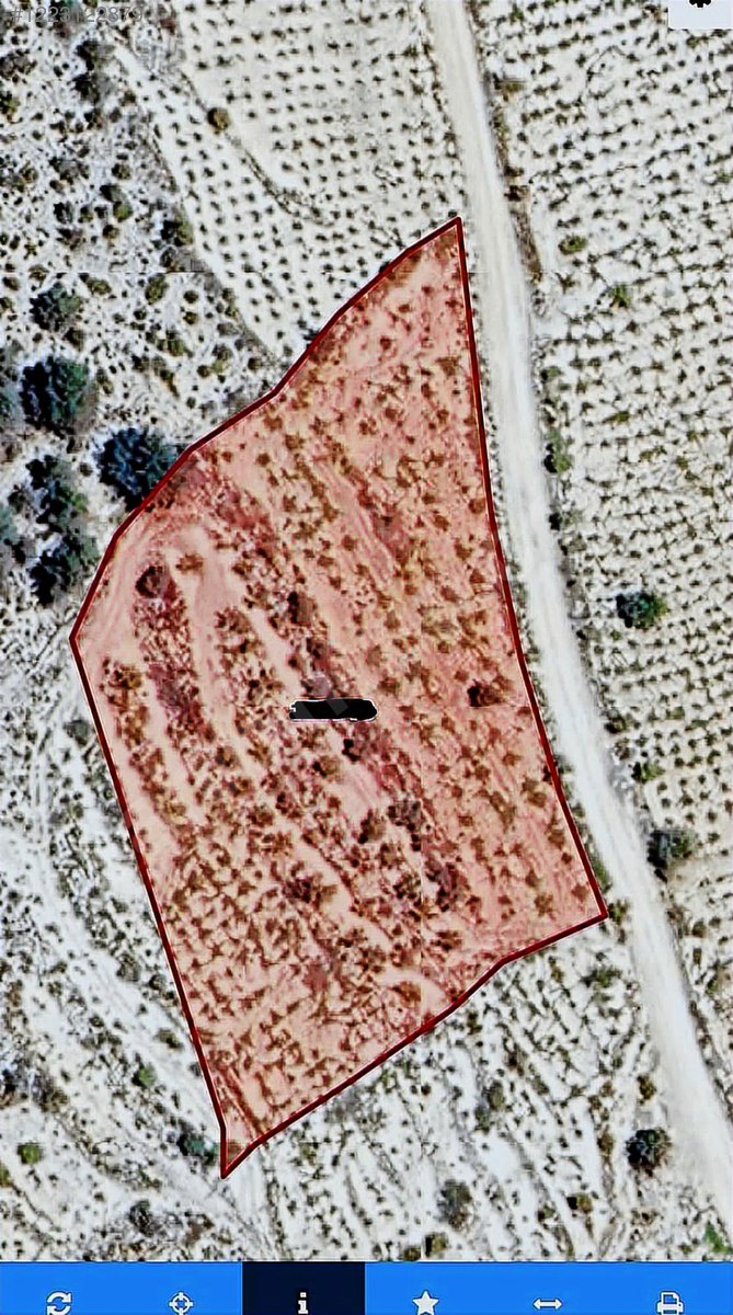 Mutlu emlaktan gündüzlerde 5.573 m2 bağ - MERSİN SİLİFKE fotoğraf 3