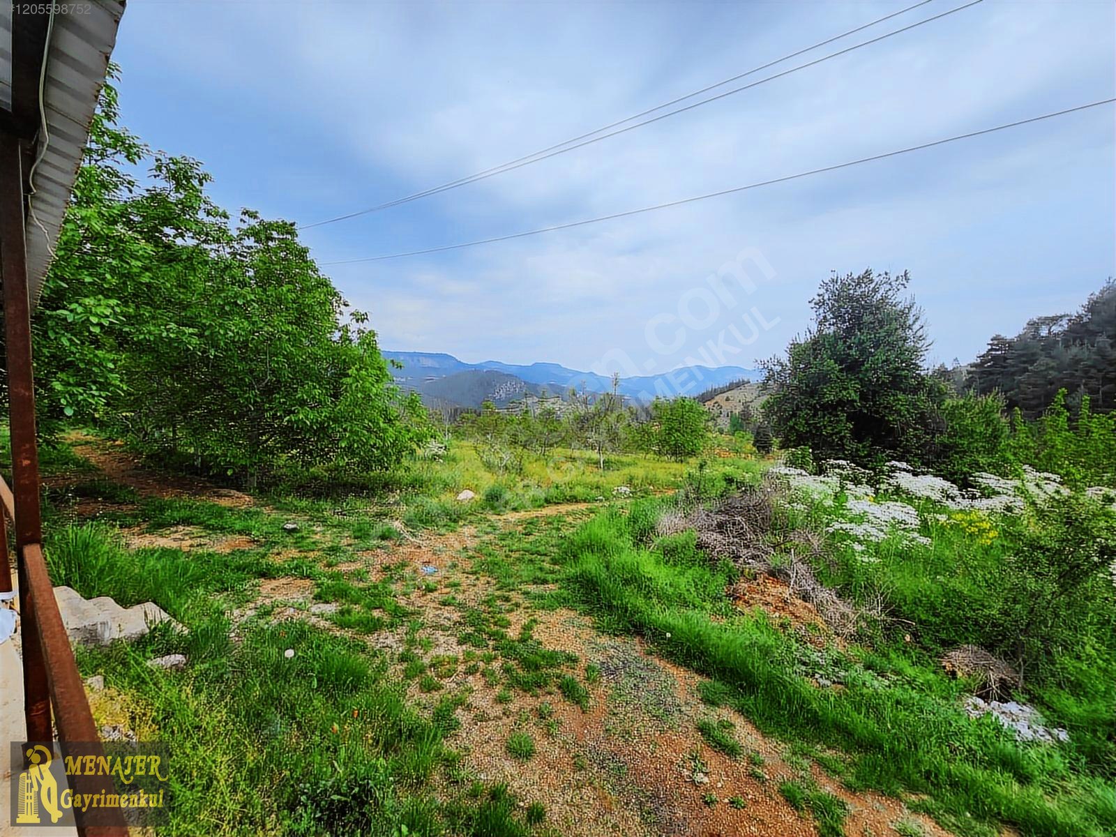 EVCİLİ KÖYÜ 10500 M2 EV VE CEVİZ BAHÇESİ - MERSİN TOROSLAR fotoğraf 15