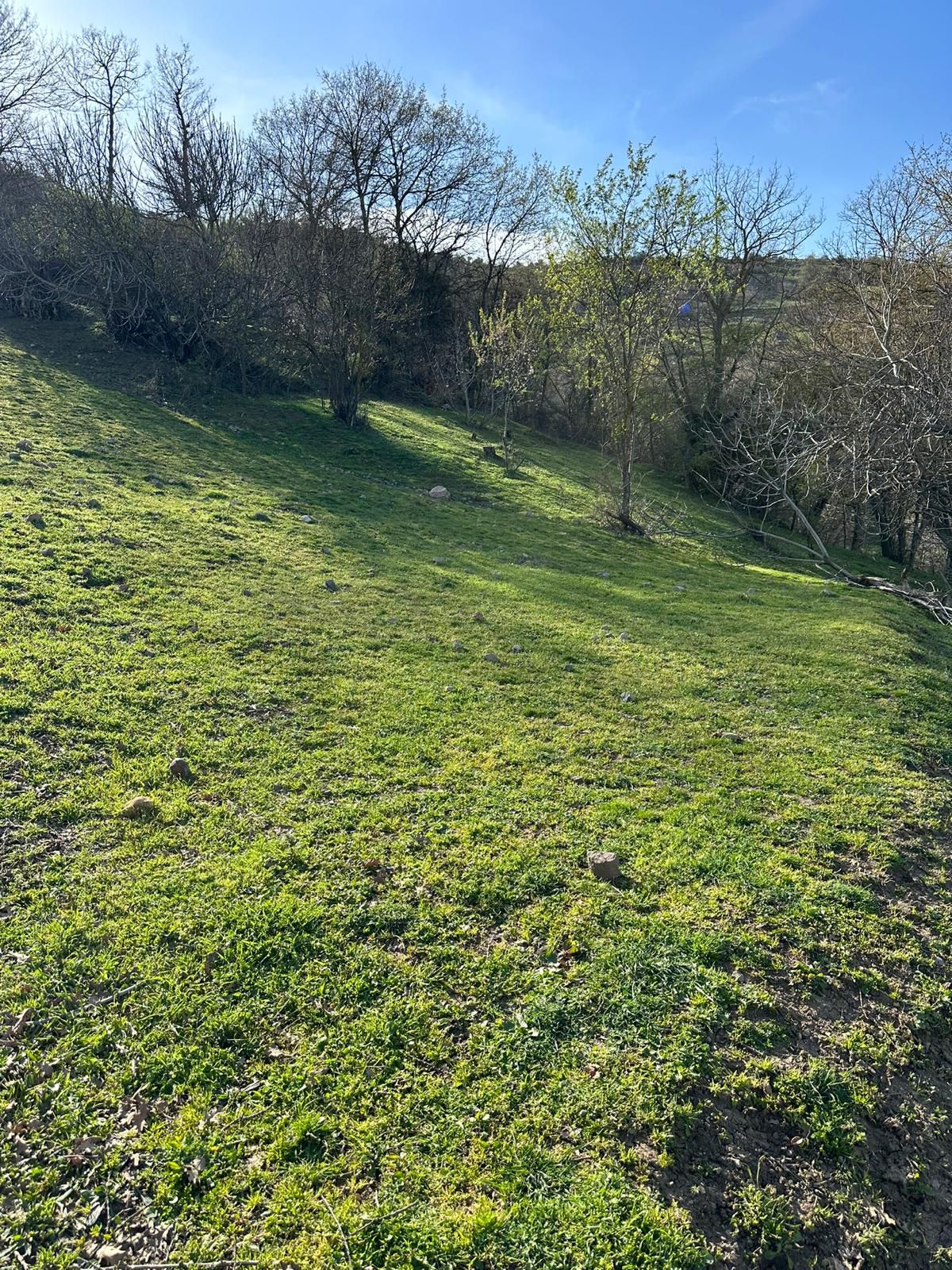 BALIKESİR ALTIEYLÜL DEDEBURNU   KÖYÜNDE 1.969  M²  TARLA  SATILIKTIR - BALIKESİR ALTIEYLÜL fotoğraf 7
