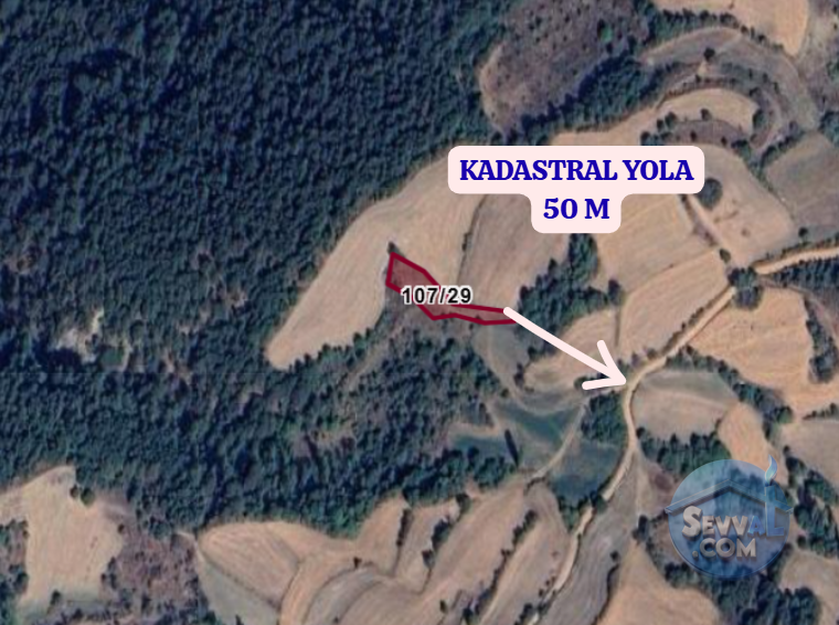 BOLU GÖYNÜK ÇAYLAK  KÖYÜNDE 897 M²  TARLA  SATILIKTIR - BOLU GÖYNÜK fotoğraf 3