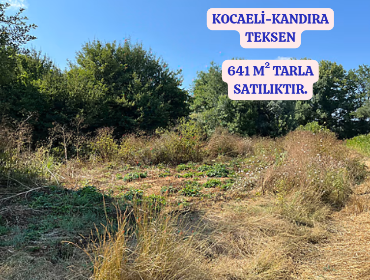 KOCAELİ KANDIRA TEKSEN  KÖYÜNDE 641 M²  TARLA  SATILIKTIR - KOCAELİ KANDIRA fotoğraf 2