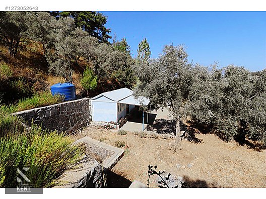 Kemalpaşa Aşağıkızılca Satılık 4536 m2 Bahçe - İZMİR KEMALPAŞA fotoğraf 16