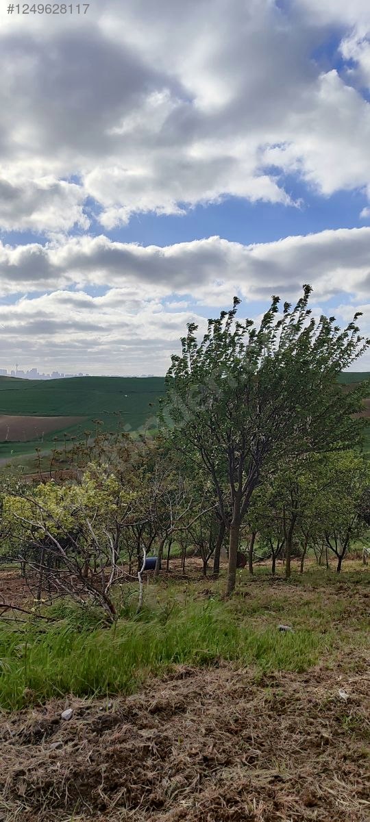 Büyükçekmece'de satılık arsa - İSTANBUL BÜYÜKÇEKMECE fotoğraf 5