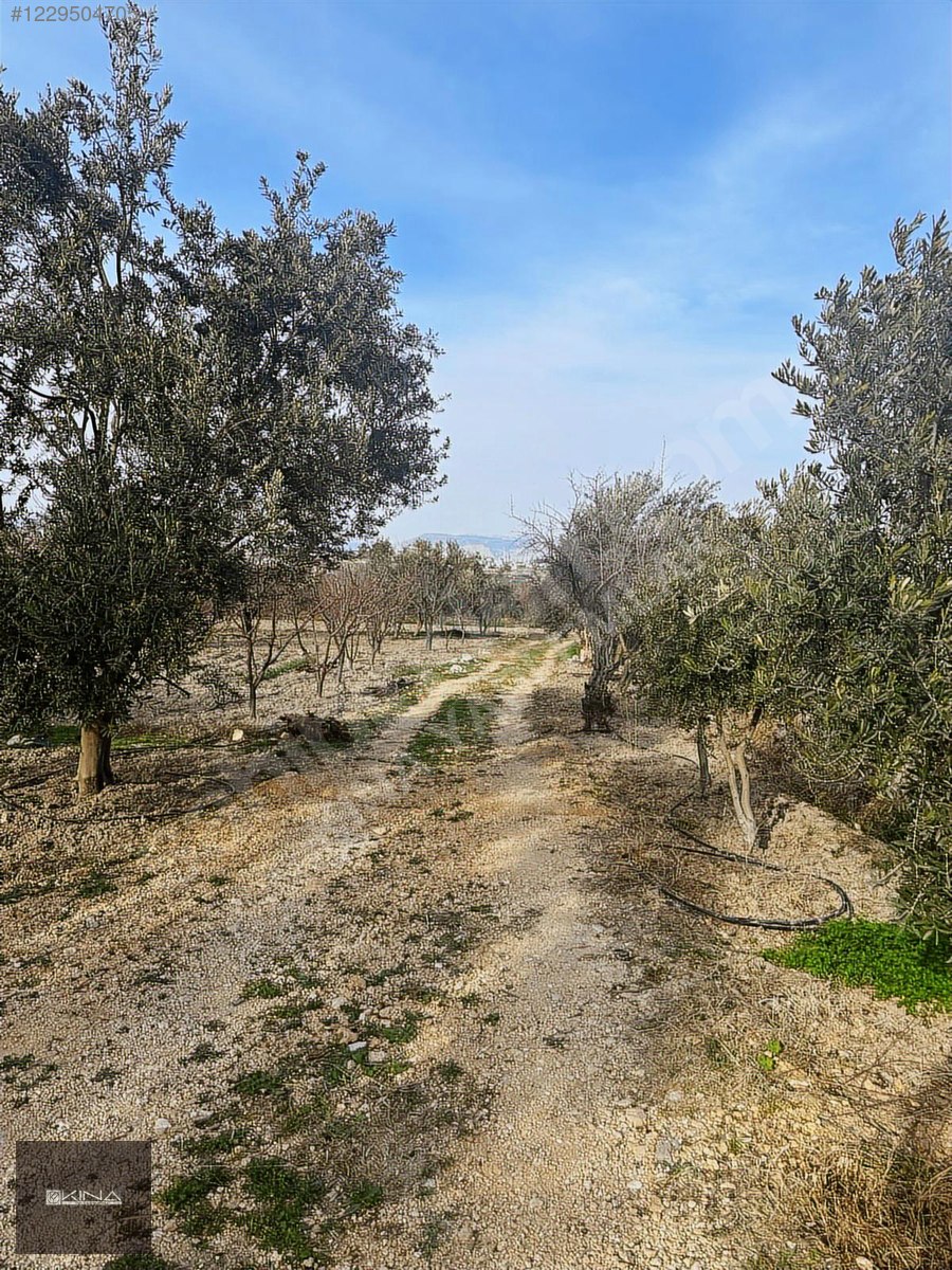 SATILIK YATIRTAŞ MAHALLESİ MERKEZE ÇOK YAKIN FIRSAT TARLA - MERSİN MUT fotoğraf 12