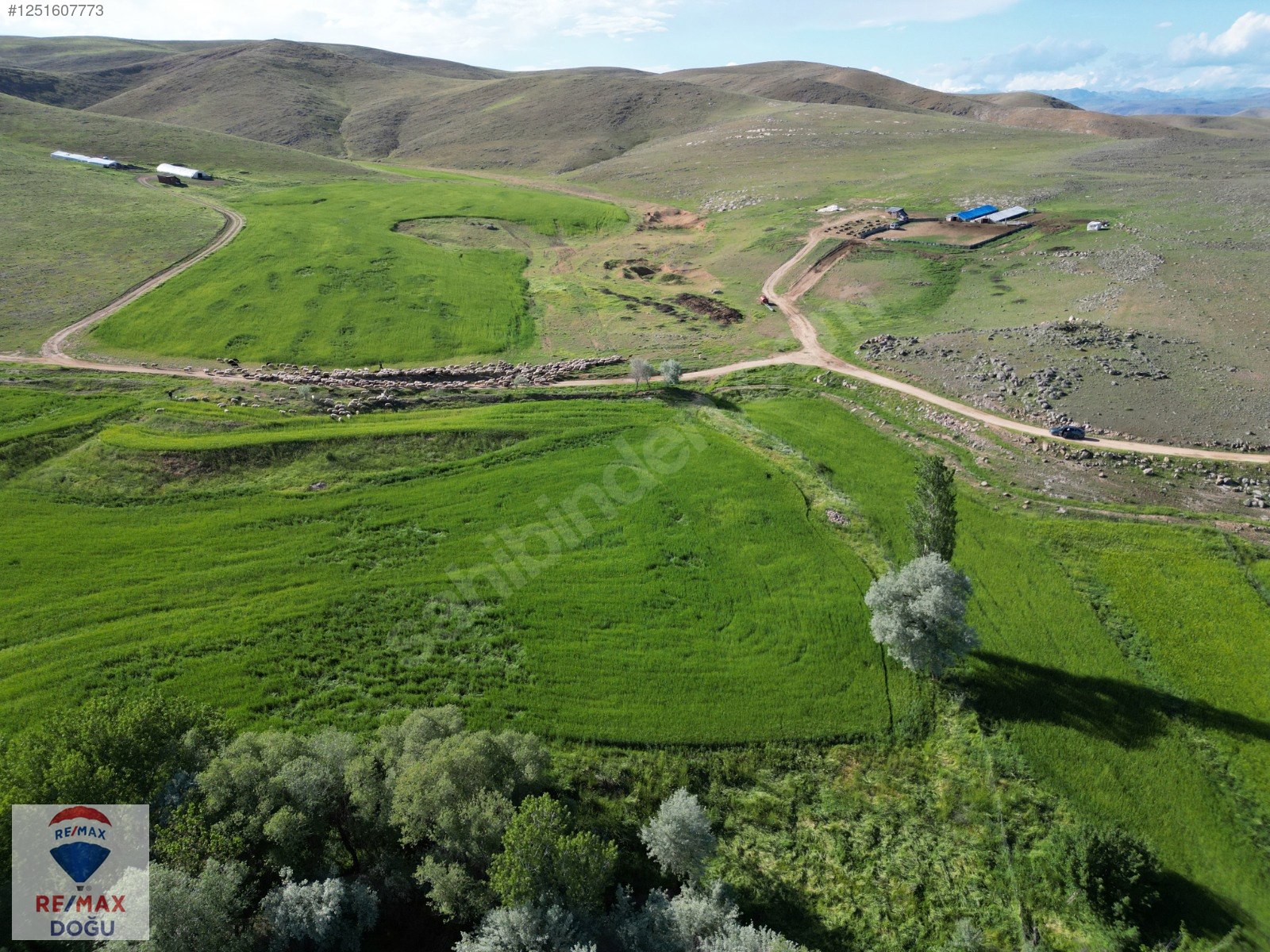 REMAX DOĞUDAN MERKEZ ALTINKUŞAKTA SATILIK TARLALAR - ELAZIĞ MERKEZ fotoğraf 4