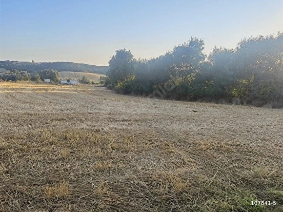 SİPAHİ KÖYÜNDE 650 M2 %60 2,5 KAT İMARLI MÜSTAKİL TAPU ARSA - EDİRNE UZUNKÖPRÜ fotoğraf 3