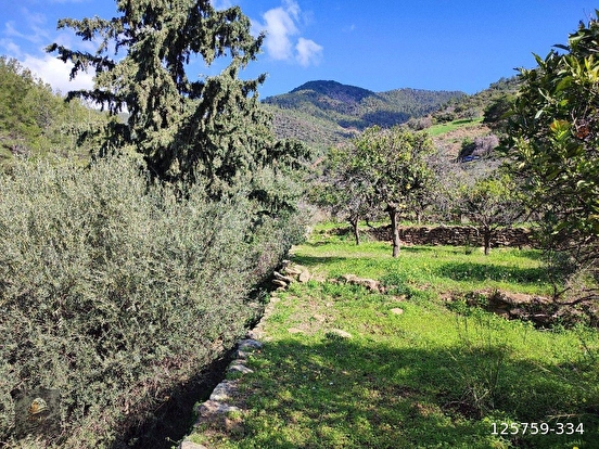 ANAMUR DEMİRÖREN'DE MÜSTAKİL PORTAKAL BAHÇESİ VE TARLA - MERSİN ANAMUR fotoğraf 18