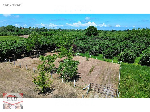 KARASU KUYUMCULUDA SATILIK 463 M2 FIRSAT ARSA - SAKARYA KARASU fotoğraf 21