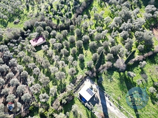 Kuşadası Kirazlıda fırsat bahçe - AYDIN KUŞADASI fotoğraf 7