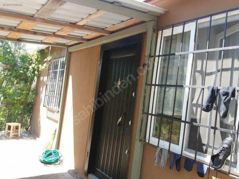 BURSA MUDANYA DEREKÖY KÖYÜNDE 2.526 M²  ZEYTİNLİK SATILIKTIR - BURSA MUDANYA fotoğraf 9