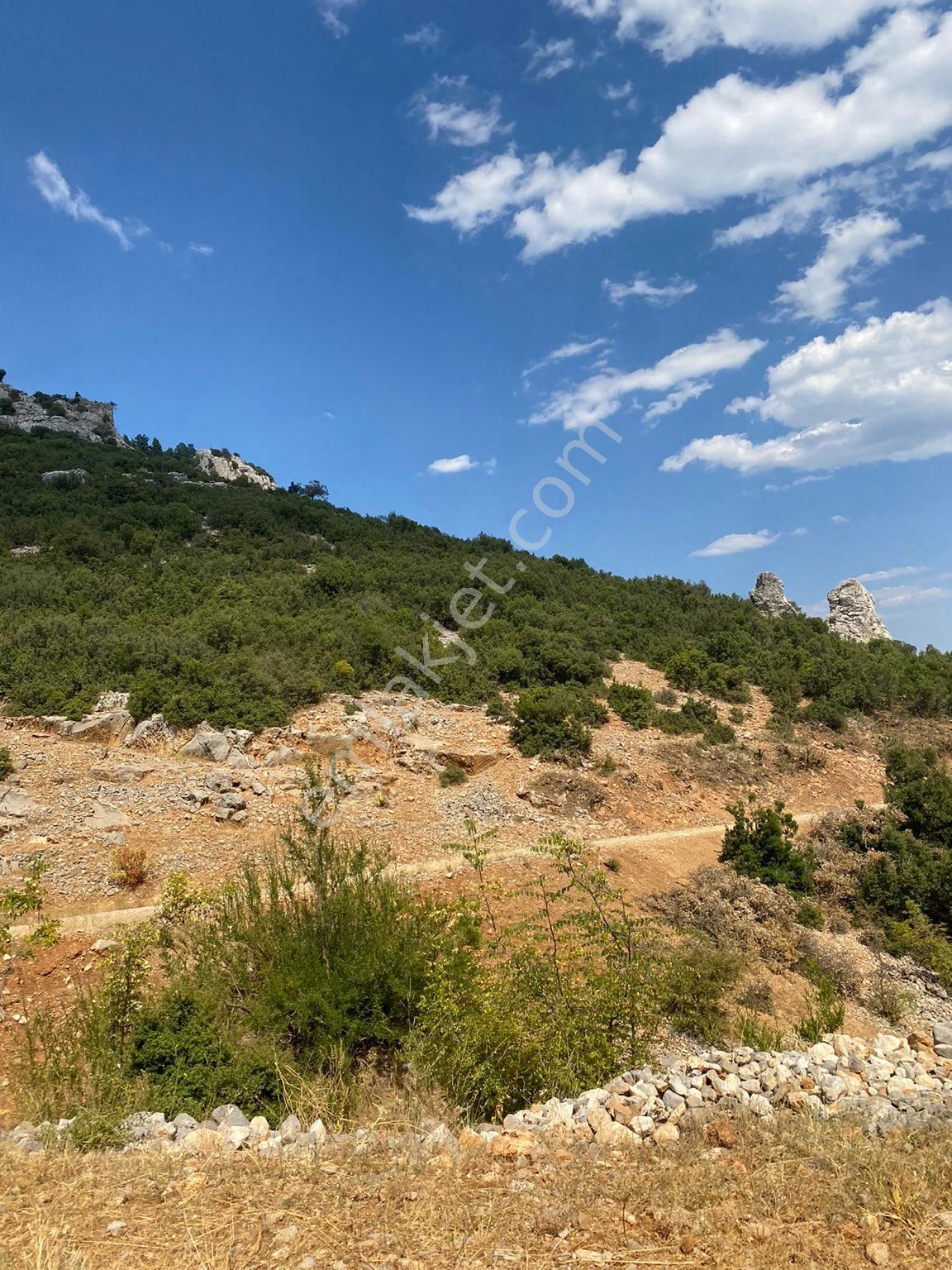 Burdur Ağlasun Hisarköy Satılık Yatırımlık Arazi 📌çakır Emlak - BURDUR AĞLASUN fotoğraf 4