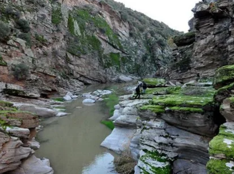 UŞAK EŞME HAMAMDERE KÖYÜNDE 10.700 M² TARLA SATILIKTIR - UŞAK EŞME fotoğraf 12
