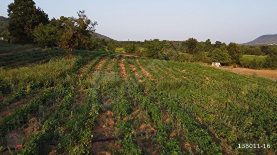 Balıkesir/Gönen'in Doğa İle İç İçe Köyünde 9.050 m² ve 7.260 m² Sulu(Pompaj) Tar - BALIKESİR GÖNEN fotoğraf 3