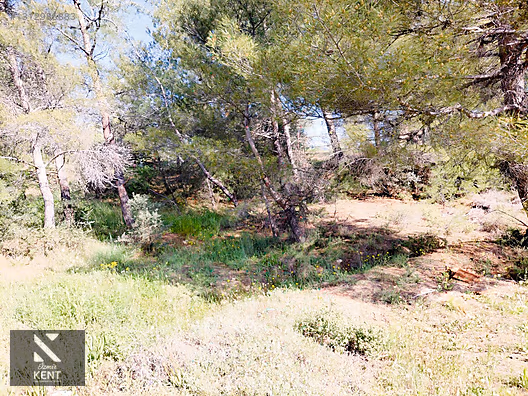 Kemalpaşa Dereköy'de Satılık 4850 m2 Bahçe - İZMİR KEMALPAŞA fotoğraf 38