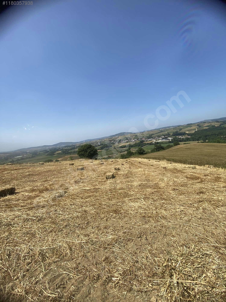 SAHİBİNDEN UYGUN HEM YATIRIM HEM TİCARİ ARSA BURADA TEK 5.613m2 - KOCAELİ DERİNCE fotoğraf 11