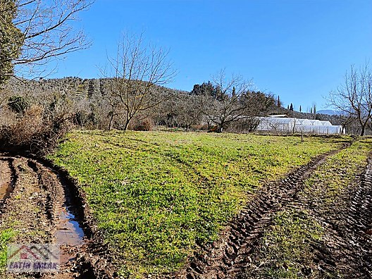 GEMLİK MURATOBA KÖYÜ 1134m² İMARLI SATILIK BAHÇE - BURSA GEMLİK fotoğraf 23