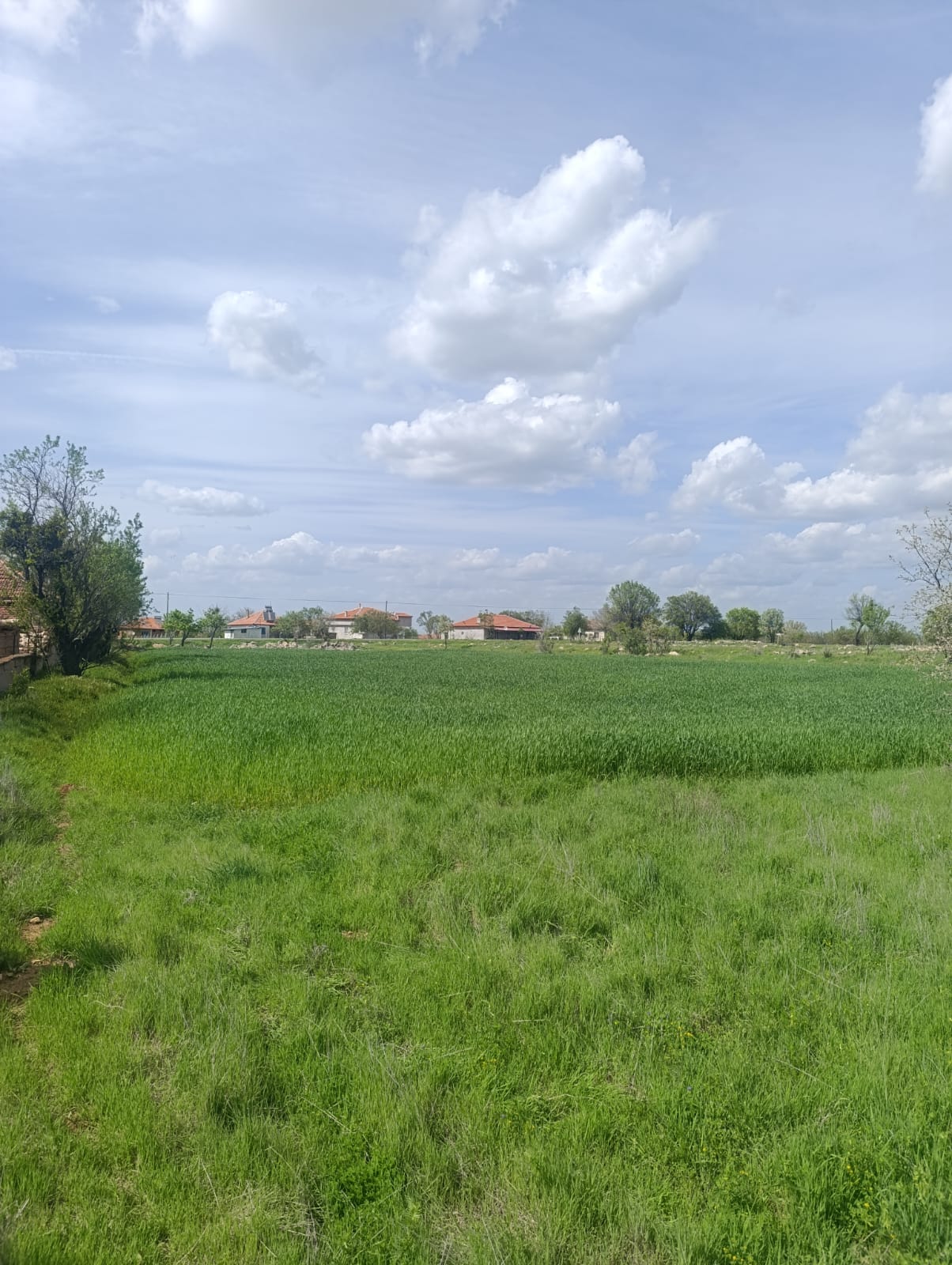 UŞAK KARAHALLI ÇOKAKLI KÖYÜNDE 616M² TARLAMIZ SATILIKTIR  - UŞAK EŞME fotoğraf 4