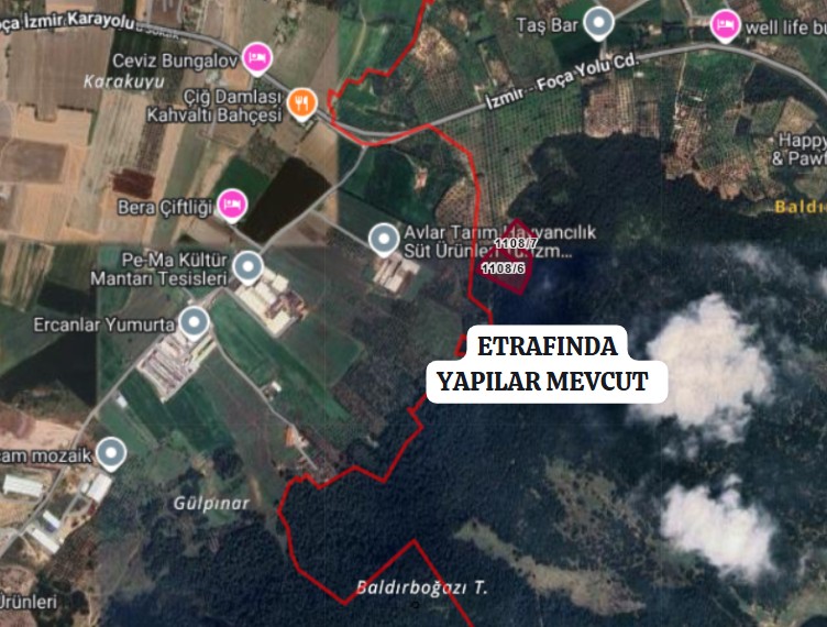 Foça Ilıpınar köyüne 3 km,Anayola yakın zeytinlik - İZMİR ALİAĞA fotoğraf 8