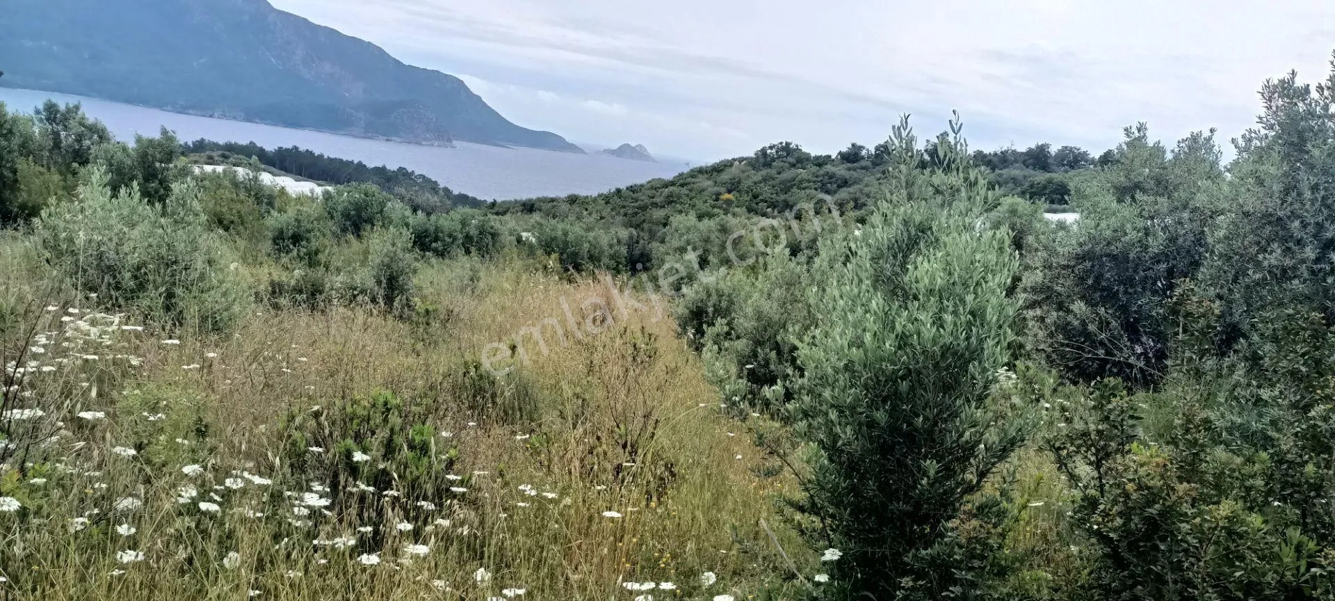 Kumluca Yenicepınar Da Deniz Manzaralı Satılık Arsa-tarla - ANTALYA KUMLUCA fotoğraf 17