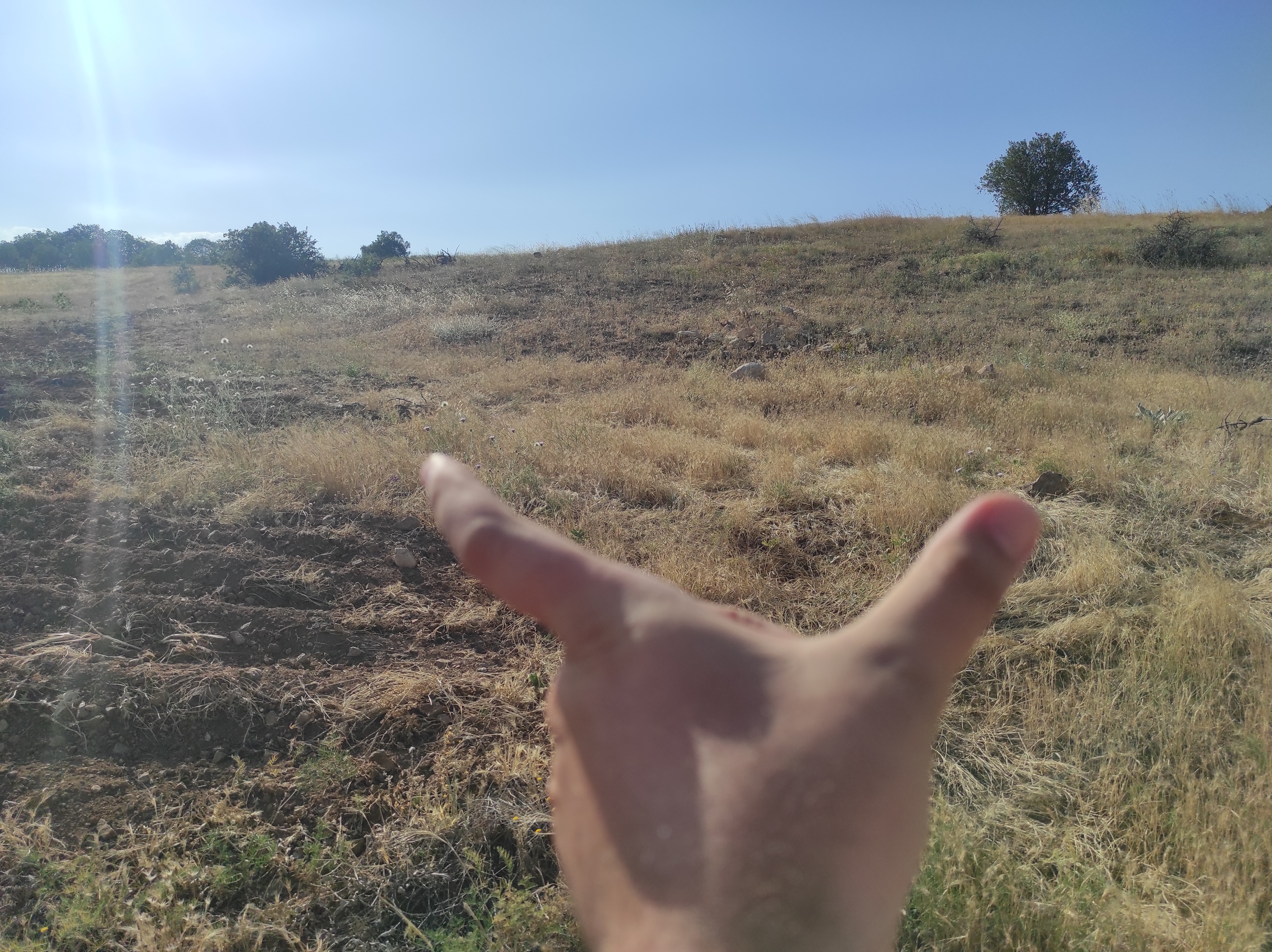 KONYA GÜNEYSINIR AĞRAS  KÖYÜNDE 8.433  M² TARLA  SATILIKTIR - KONYA GÜNEYSINIR fotoğraf 5