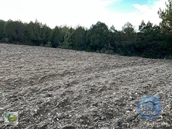 🚨 KÜTAHYA / AKÇAMESCİT'TE KÖYÜN ÜSTÜNDE 4.548 M² HARİKA ARAZİ 🚨 - KÜTAHYA MERKEZ fotoğraf 17
