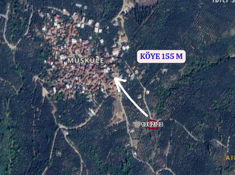 BURSA İZNİK MÜŞKÜLE  KÖYÜNDE 1.209 M² ZEYTİNLİK SATILIKTIR - BURSA İZNİK fotoğraf 8