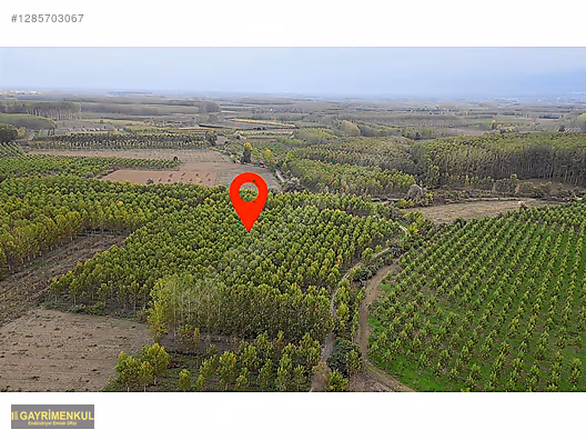 YATIRIM FIRSATI! ERENLER/ŞEYHKÖY MAH. 24.620 M² - SAKARYA ERENLER fotoğraf 27