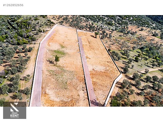 Kemalpaşa Ansızca Satılık 1406 m2 Bahçe - İZMİR KEMALPAŞA fotoğraf 50