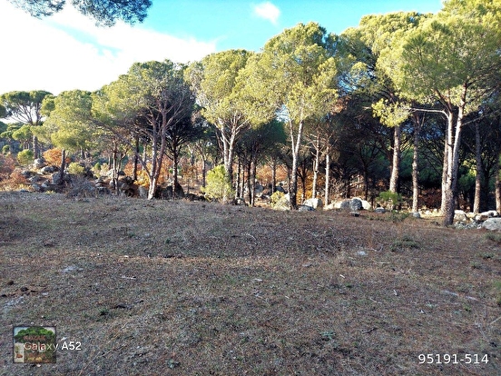 BERGAMA KOZAK YAYLASI AŞACUMA MAH. LESİNDE 1110 M2 FISTIKLIK - İZMİR BERGAMA fotoğraf 4