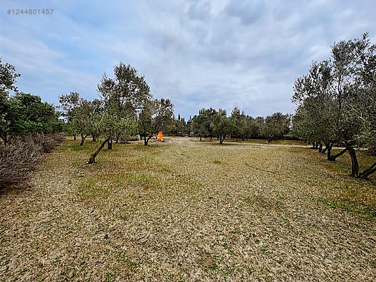 ARYA'DAN EDREMİT ÇIKRIKÇI'DA 5000 M2 TARLA - BALIKESİR EDREMİT fotoğraf 6